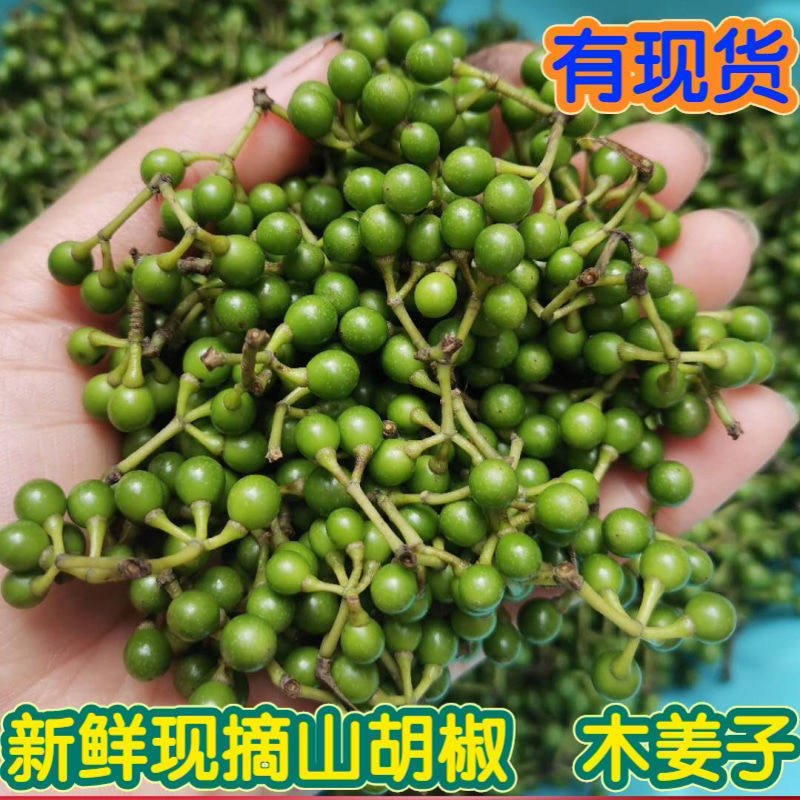 云南红河新鲜野生木姜子山胡椒山苍子生吃食用产地直销农产品现摘