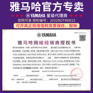 雅马哈电吹管yds150/120/128C电子萨克斯乐器大全初学高音/次中音