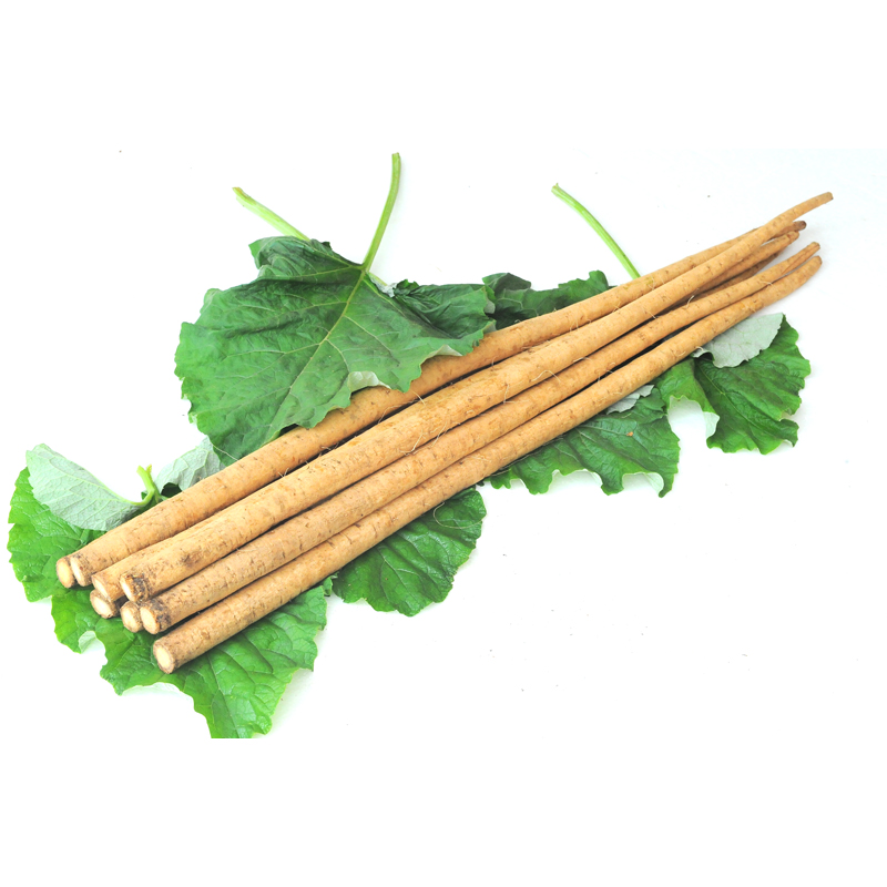山东新鲜现挖5斤黄金牛蒡牛蒡根牛膀片牛榜牛蒡新鲜野生黄金牛膀高清大图