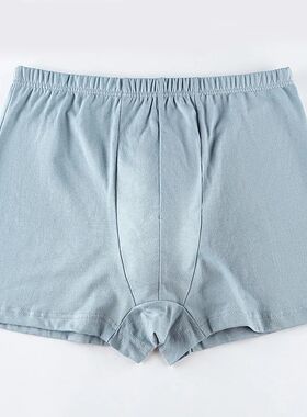 5pcs/Lot Large Size Men's Panties High Rise Loose Men Underw