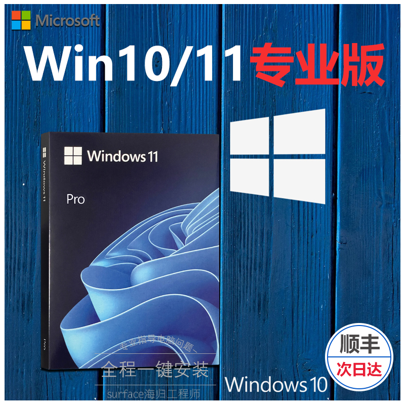 正版win11专业版系统u盘重装Windows10家庭中文版升级Pro纯净指导-图0