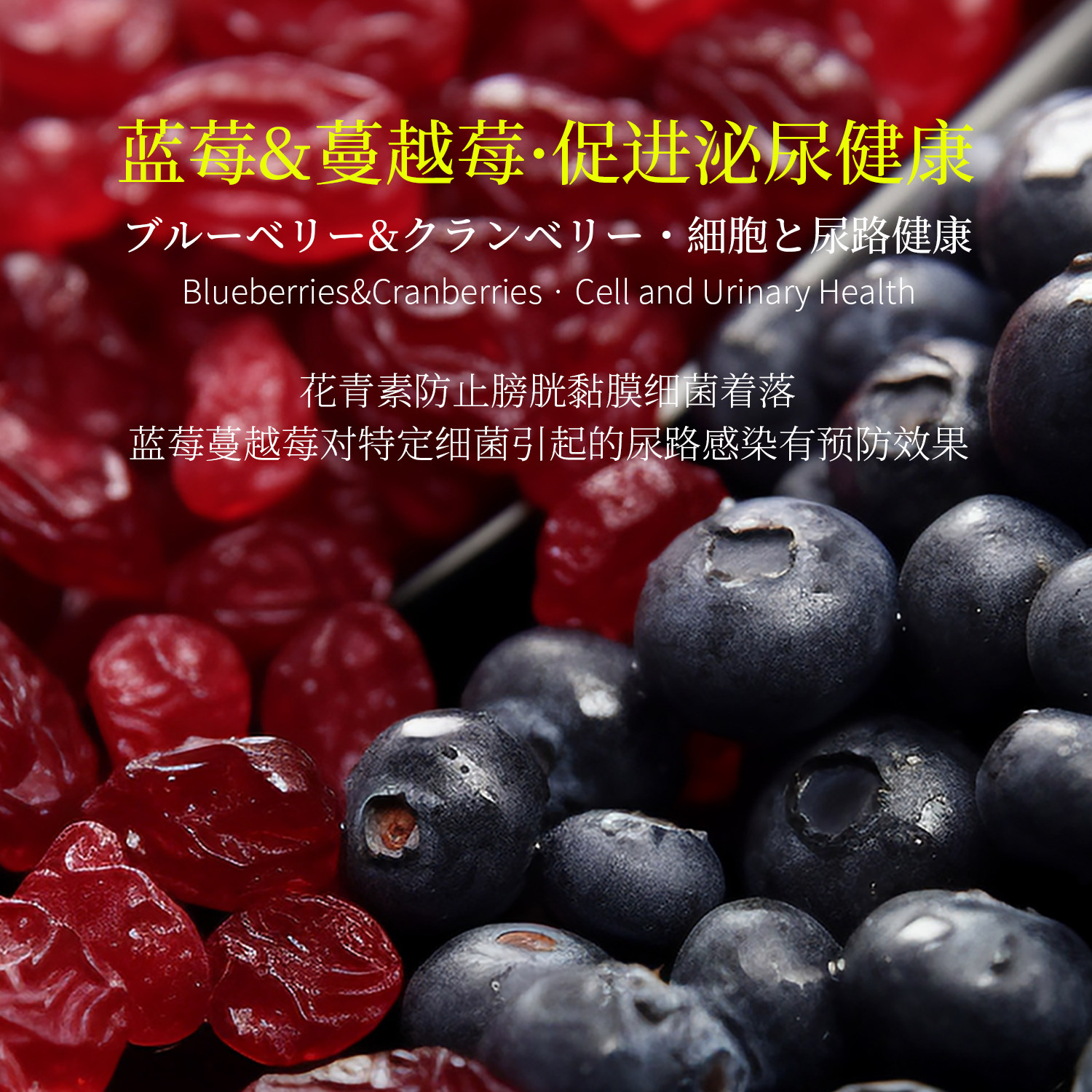 neku紫罐猫罐头主食罐蓝莓蔓越莓玻尿酸鸡肉湿粮生骨肉猫餐盒猫粮,淘宝优惠券,粉丝福利购,淘宝优惠卷