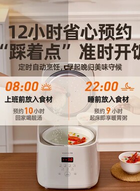 罗娅家用迷你电饭煲新款