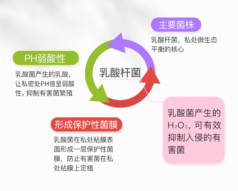 惠美仁e菌妇自洁女性私处乳酸杆菌 惠美仁私处护理