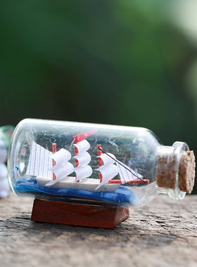 盆栽摄影一帆风顺许愿瓶小摆件