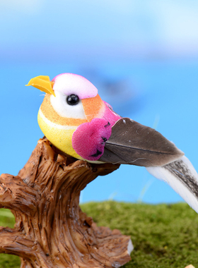 七彩造景鸟窝盆栽摄影卡通动物