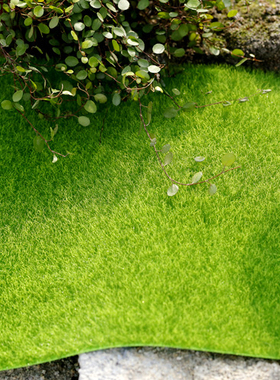 仿真园艺造景摄影植物假草坪道具