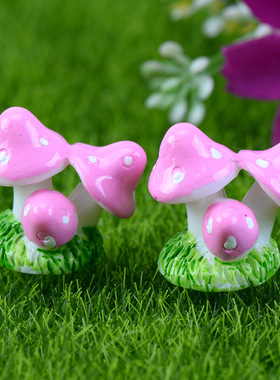 diy微景观盆栽蘑菇植物小摆件