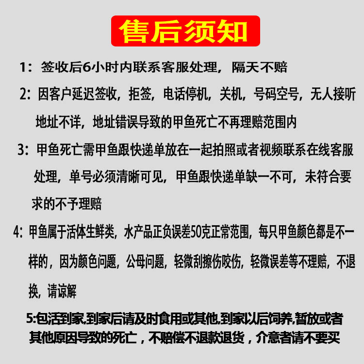 外塘小甲鱼苗鳖苗鲜活体包邮童子鳖马蹄鳖卤味甲鱼火锅食材水鱼团-图2