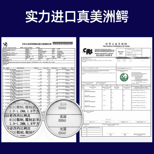 Suitable for Cartier Blue Balloon original strap crocodile leather