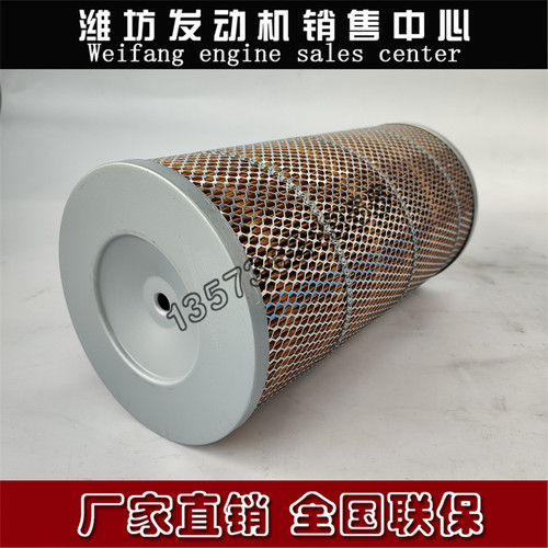 潍坊226B道依茨潍柴WP4柴油发动机发电机组13023207空气滤清器芯 - 图3