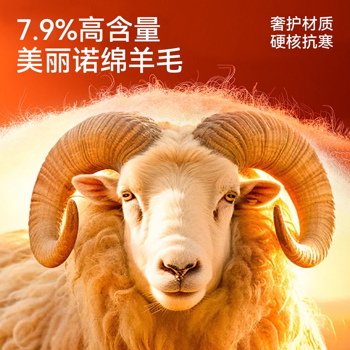 保暖背心男士款德绒发热羊毛蛋白绒打底内搭冬季贴身无痕保暖内衣 - 图1