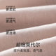 Wormwood Antibacterial Fresh Contrast Color Modal underwear