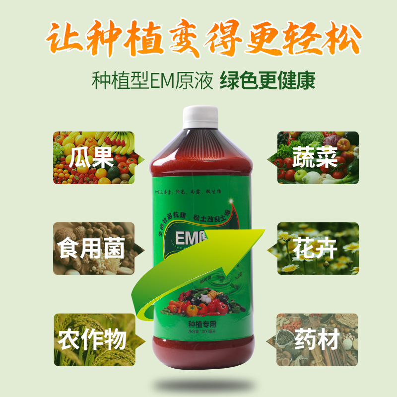 EM菌原液EM菌原露有机种植改良土壤防病花肥营养液发酵菌EM益生菌 - 图3