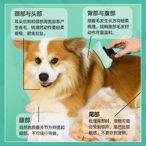Гиб для домашних собак Corgi Hair Special Thin Comb Cat и собачья узел