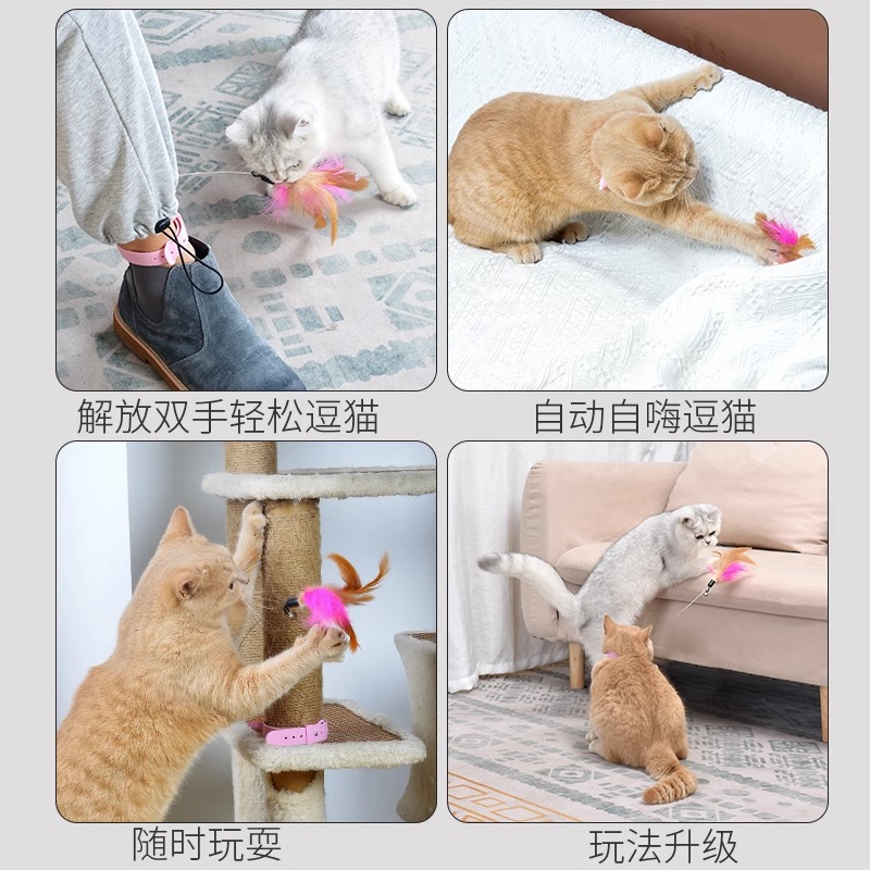 头戴式逗猫棒玩具猫咪自嗨解闷消耗体力神器自动羽毛项圈逗猫用品