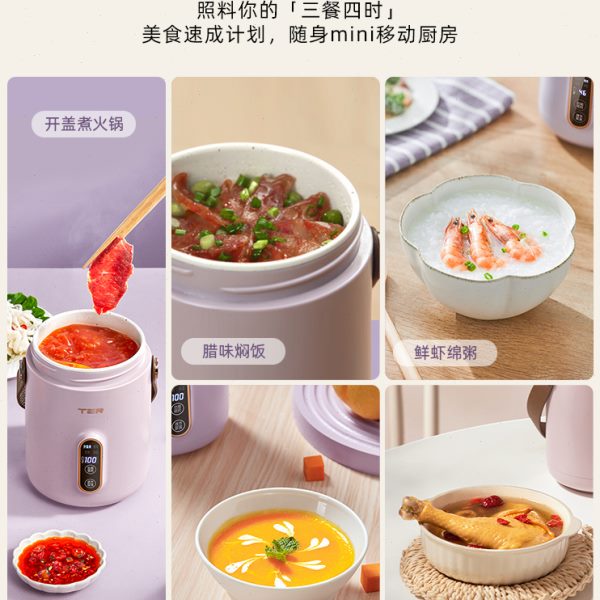 TER小电炖锅煮粥神器家用多功能迷你便携炖煮锅宝宝辅食煲汤熬粥-图2