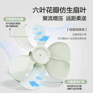 細節圖