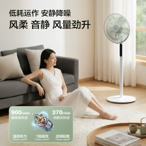 格力花精灵电风扇语音智控一级能效抗菌防霉节能直流变频落地扇
