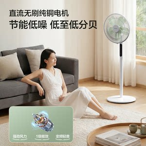 格力花精灵电风扇语音智控一级能效抗菌防霉节能直流变频落地扇
