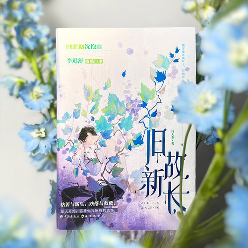 漫娱正版 旧故新长【plus赠品版本 限量扉页印签】诗无茶著 现代青春都市小说实体书 重生治愈温柔救赎虐文 - 图3