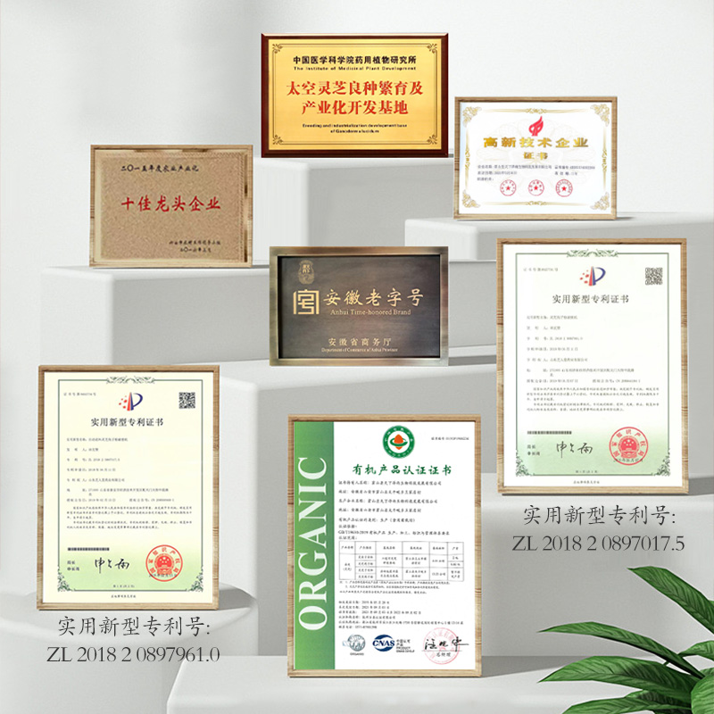 天下泽雨破壁灵芝孢子粉官方旗舰店林芝灵芝粉礼盒装过节送礼长辈