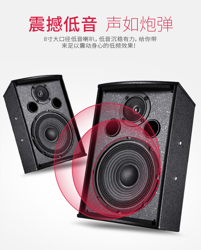  新科玖利度KTV/卡拉OK音箱