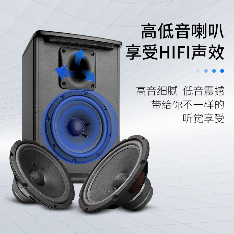 新科家庭ktv5套装功放会议专业高端 新科玖利度KTV/卡拉OK音箱