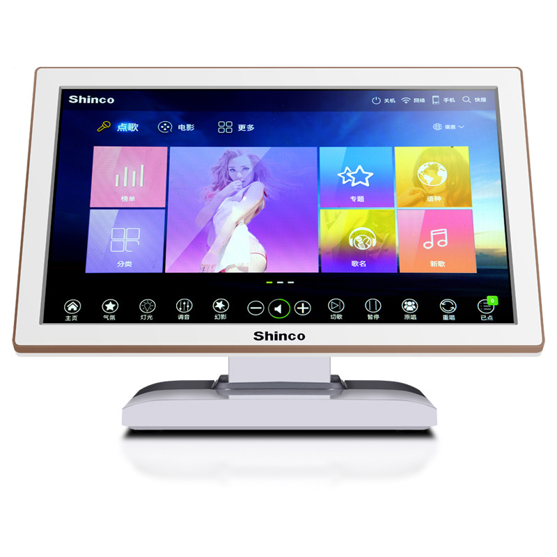  新科玖利度KTV/卡拉OK音箱