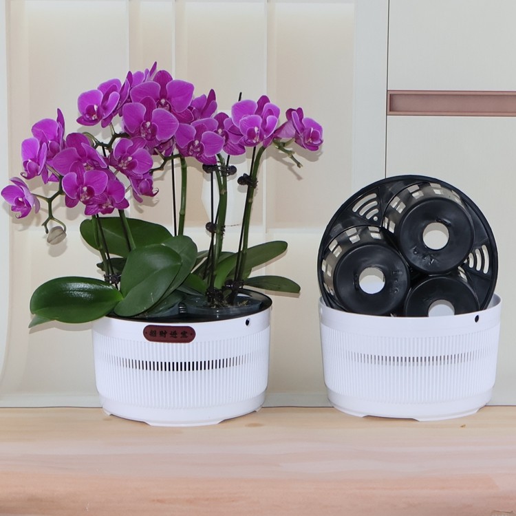 3.5寸兰花杯三孔四孔蝴蝶兰拼组合花盆石斛盆栽育苗钵透气定植篮,淘宝优惠券,粉丝福利购,淘宝优惠卷