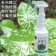 Baokang floreca fresh flower plant leaf brightener green dill decontamination cleaning spray nutrient liquid fertilizer