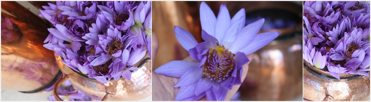 250ml 铜锅蓝莲花纯露花水爽肤水喷雾鲜花精油滋润舒缓两件包邮 250ml 铜锅蓝莲花纯露花水爽肤水喷雾鲜花精油滋润舒缓两件包邮
