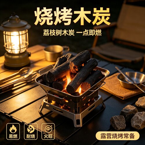 烧烤炭荔枝木炭碳果木炭碳块原木炭烧烤炉家用无烟烤火取暖火锅商 - 图2