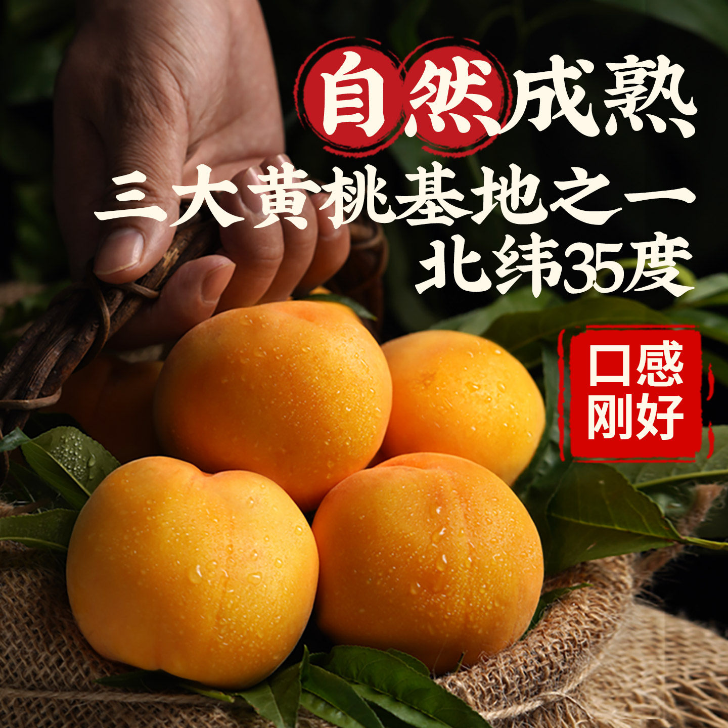 【官方正品】黄桃罐头新鲜水果桃子糖水烘焙砀山特产零食旗舰店,淘宝优惠券,粉丝福利购,淘宝优惠卷