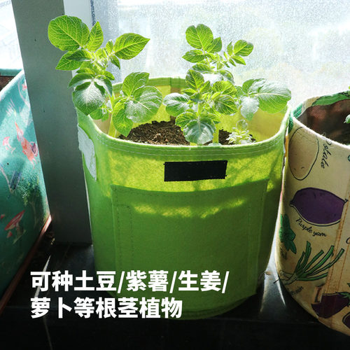双层土豆种植袋有采摘口 阳台亲子彩色花盆 根茎植物专用种菜神器 - 图1