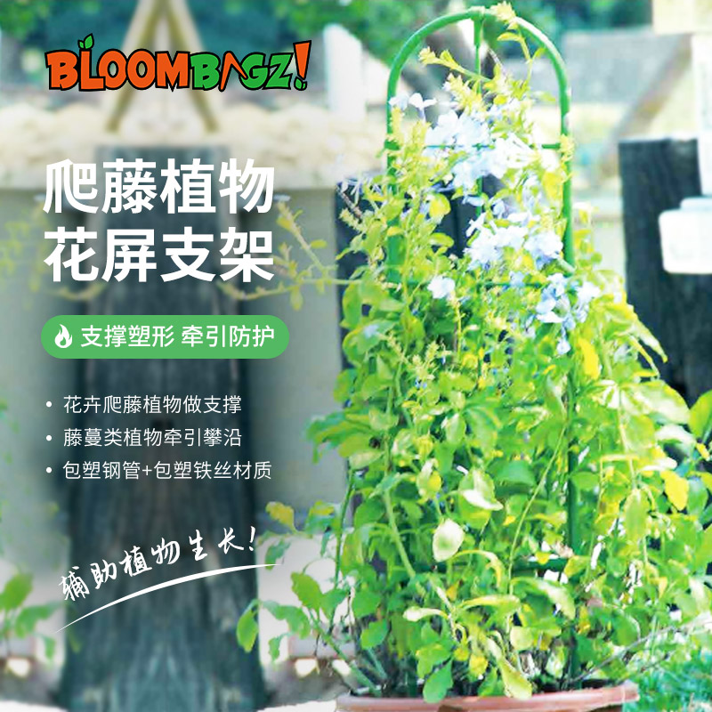 爬藤架种菜架子园艺花架花园阳台花爬架植物豆角黄瓜架葡萄架户外-图0