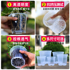 青山控根盆花盆透明蝴蝶兰蔓绿绒竹海芋专用加厚盆园艺桌面新款