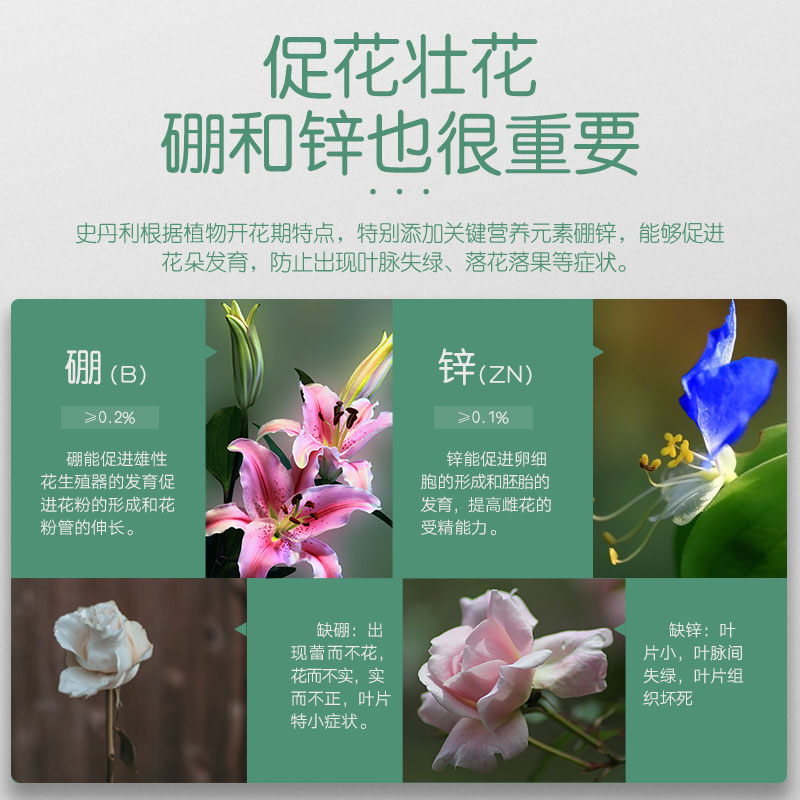 史丹利磷酸二氢钾花肥料盆栽绿植通用型土肥家用养花磷钾肥复合肥 - 图1