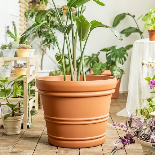 爱丽思种树大花盆爱丽丝塑料加厚仿陶瓷大口径庭院特大号种树花盆 - 图2