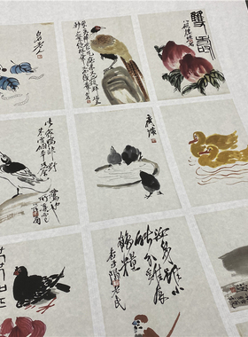 齐白石 写意花鸟画册16幅 名家国画微喷临摹学习范本画稿超清晰