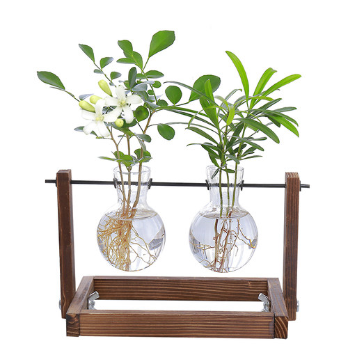 客厅插花摆件创意玻璃小花瓶简约透明水培小型植物容器小口养花盆 - 图3