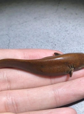 古玩铜器小鲶鱼年年有余茶宠桌面趣味摆件文房镇纸文镇装饰摆件