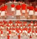 Nylon Red Beautiful Chorus Group Uniforms and Cheerleading Uniforms