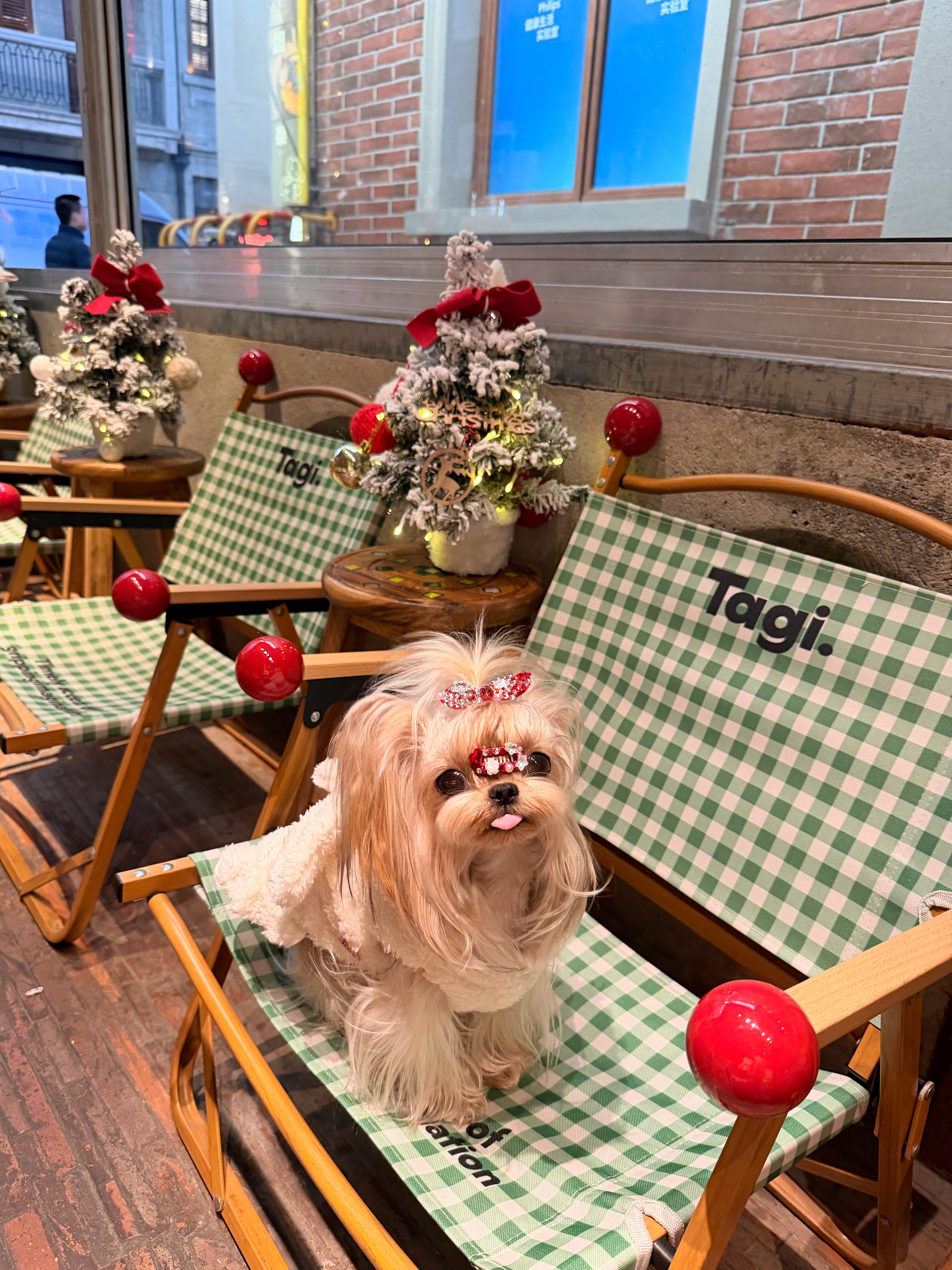 原创满钻宠物发夹马尔济斯发夹小狗夹子BB夹约克夏狗狗不掉发夹,淘宝优惠券,粉丝福利购,淘宝优惠卷