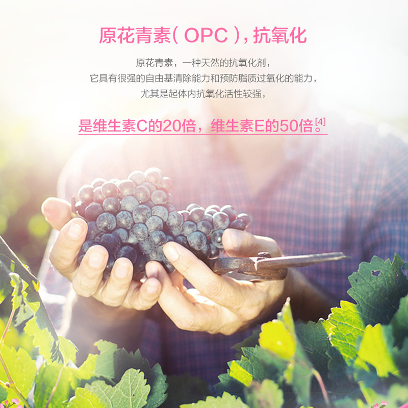 汤臣倍健君康达专卖店买1送1汤臣倍健婷好牌青春胶囊大豆异黄酮 雌激素正品黄体酮60粒2