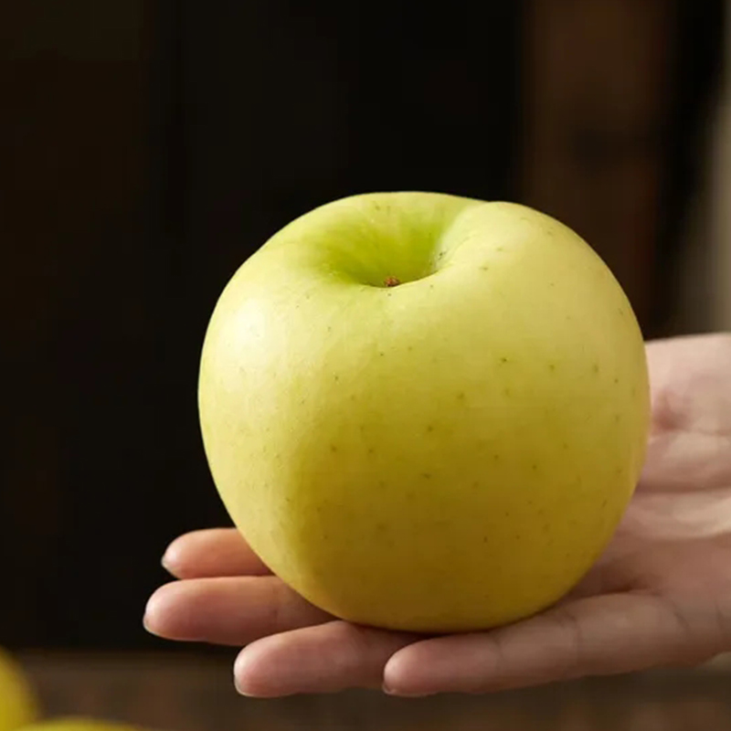 Top Fruit New Three-Fruit Gift Box