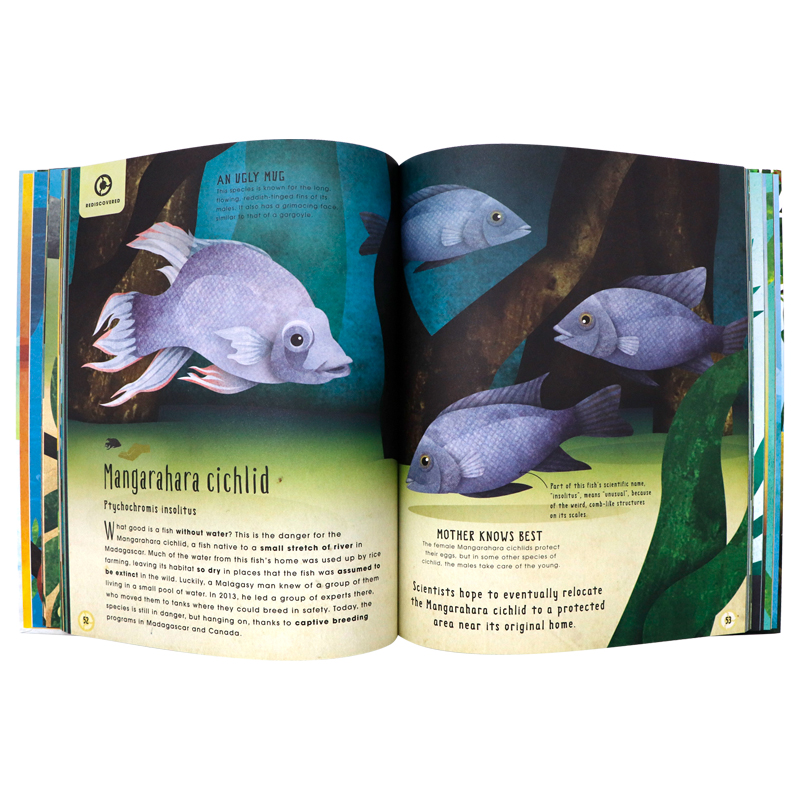 DK出品 失去和找回的动物百科全书 英文原版 Animals Lost and Found Stories of Extinction Conservation and Survival精装版 - 图1