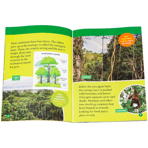 亚马逊的动物英文原版 National Geographic Kids Level3:Amazon Animals 国家地理分级阅读儿童课外阅读动物科普百科读物 平装 - 图1