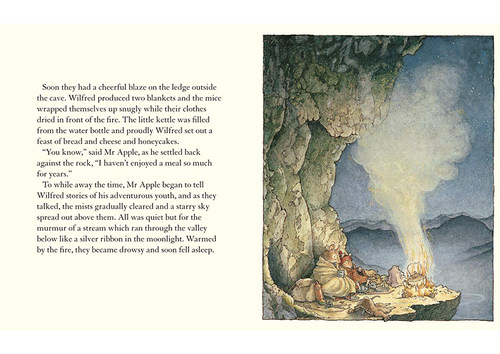 野蔷薇40周年盒装纪念版全套 英文原版绘本 A Year in Brambly Hedge 野蔷薇村的一年冒险故事 亲子英伦田园童话故事 Jill Barklem - 图2