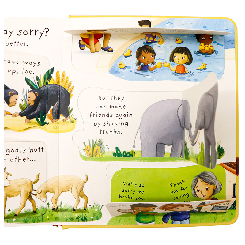 问与答系列立体翻翻书为什么要道歉Lift-The-Flap Very Why should I say sorry? 英文原版绘本幼儿童科普百科英语读物纸板书